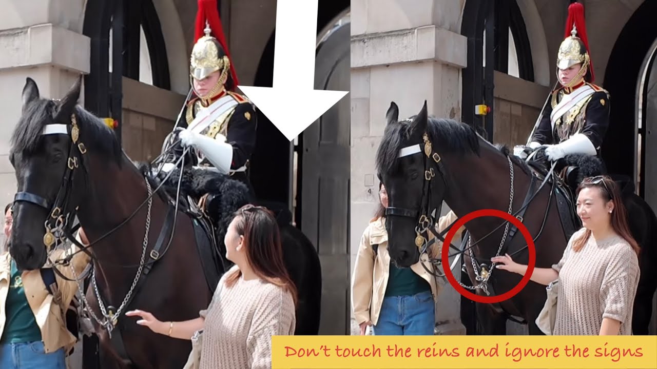 GET OFF!!! YOU ARE NOT ALLOWED TO TOUCH THE REIN EVEN NOT ALLOWED TO TOUCH THE HORSE!!