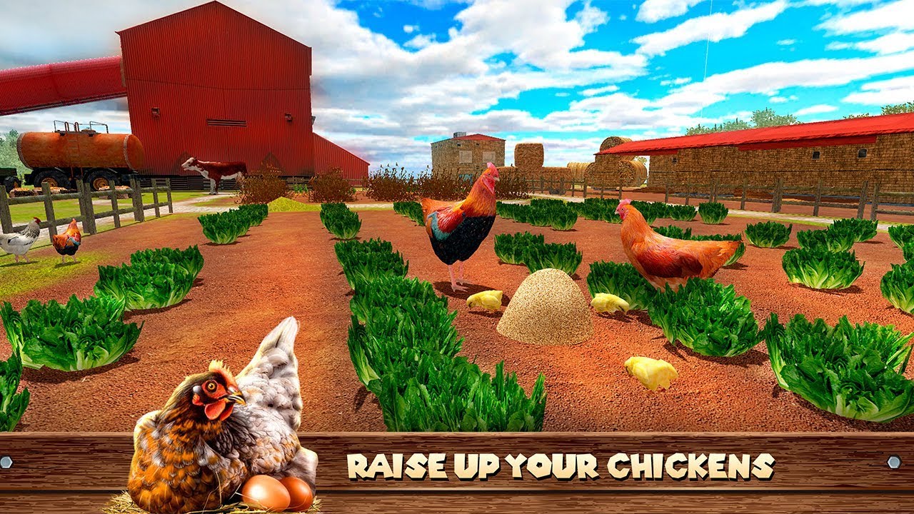 Chicken Simulator 3D - Farm Animals Life Gameplay Video Android/iOS