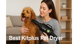 🐾 Best Kitplus Pet Dryer | iPettie Automatic Hair Dryer Box for Cats and Small Dogs 🐕