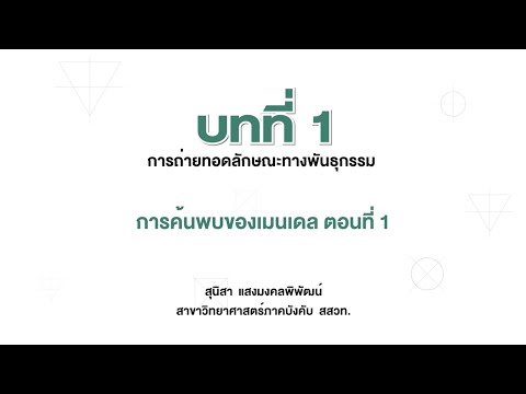 การค้บพบของเมนเดล ตอนที่ 1 (วิทยาศาสตร์ ม. 3 เล่ม 1 หน่วยที่ 2 บทที่ 1 การถ่ายทอดลักษณะทางพันธุกรรม)