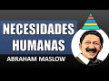 🔺👉Teoría de la Motivación o Pirámide de Necesidades  Humanas  - Abraham Maslow