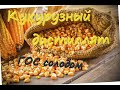 Кукурузный дистиллят. ГОС солодом