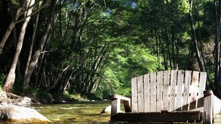 Big Sur River Inn | Cozy Cabins in Big Sur