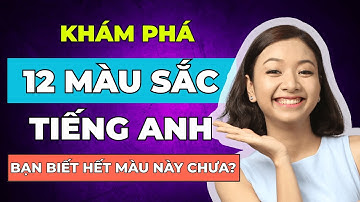 [Bỏ Túi] 12 Từ Vựng Màu Sắc Tiếng Anh Thông Dụng Nhất PHẢI THUỘC LÒNG Để Nghe Nói Trôi Chảy