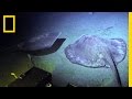 The World on the Ocean Floor | Sea of Hope: America's Underwater Treasures