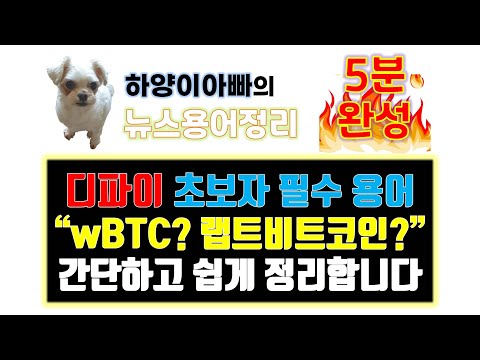 5분 암호화폐뉴스 디파이 초보자 필수용어 WBTC 랩트비트코인 간단 정리 