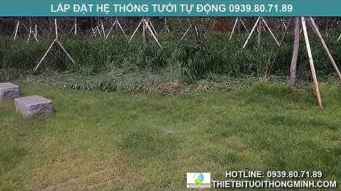 Đầu tưới phun nước tưới cỏ pop up phun tia điều chỉnh góc phun tưới sân vườn biệt thự