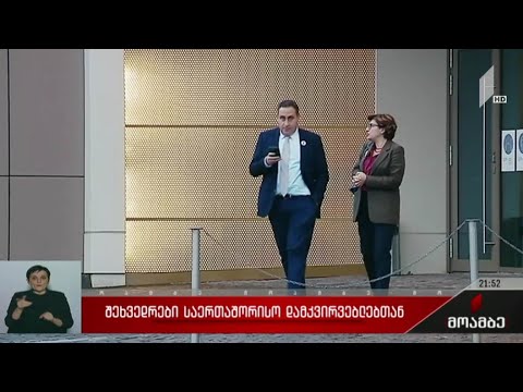 შეხვედრები საერთაშორისო დამკვირვებლებთან
