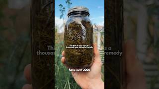 Thousands Of Years Of Pain Relief In Your Garden