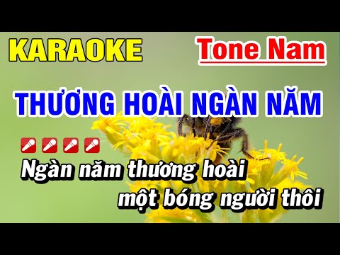 Thương Hoài Ngàn Năm Karaoke - Thương Hoài Ngàn Năm Karaoke Nhạc Sống Tone Nam | Hoài Phong Organ