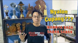 SALON IKAN CUPANG BUAT KONTES