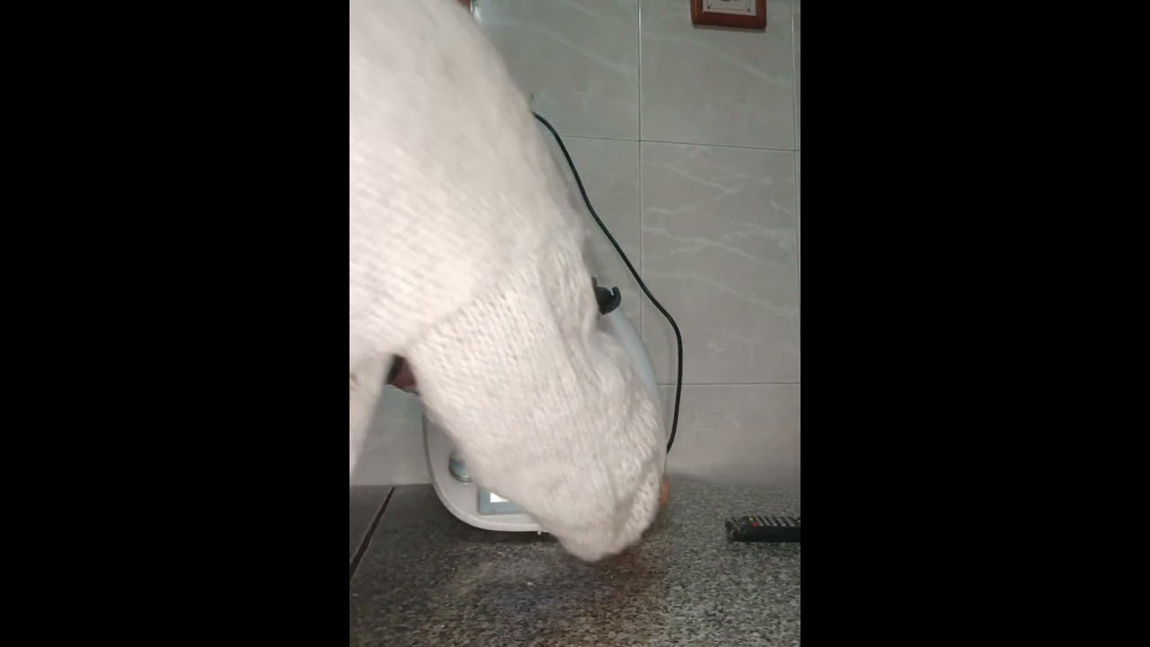 Bambas de nata, fácil y rico con Thermomix 