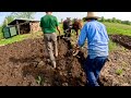 Plowing our vegetable garden with draft horses 642