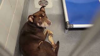acs A688654