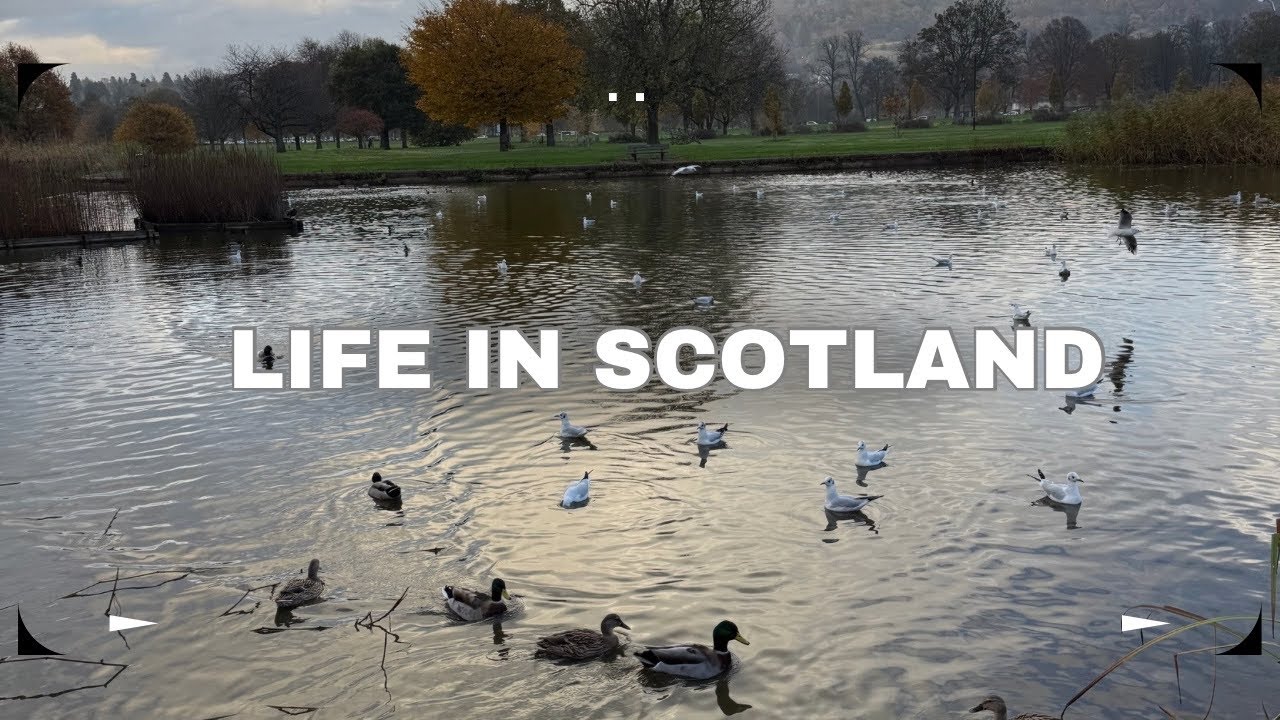 LIFE IN SCOTLAND: HAIR| CLEANING | SKINCARE | #vlog #southafricanyoutuber 