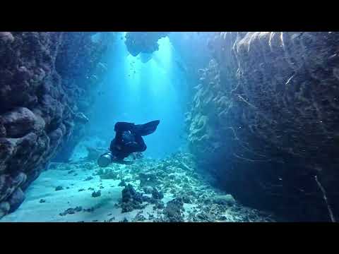 Diving at St. Johns  - Dangerous Reef