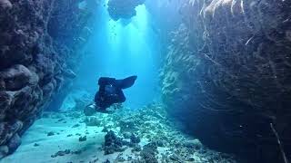 Diving at St. Johns  - Dangerous Reef