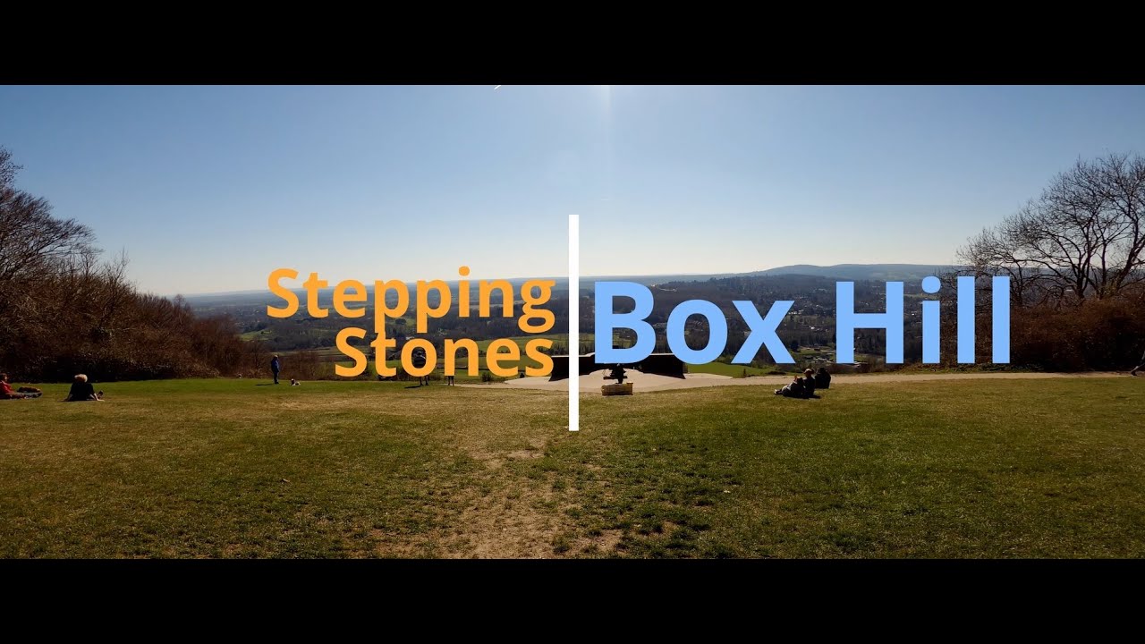 Exploring Stepping Stones - Box Hill