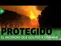 Espacio Protegido | La Corona de Doñana renace tras el incendio de 2017