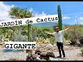 TOUR por Jardín de Cactus  GIGANTES!!!