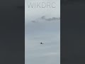 E-Flite P51 #wikdrc #eflite #rcairplane #aviation #rcaircraft #p51mustang #wwiiaircraft