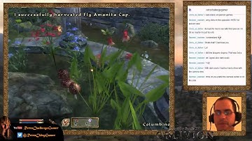 Elder Scrolls IV: Oblivion - Mage Only Run - Stream 05 - Part 5