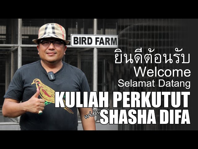 Kuliah Perkutut Bersama H. Arif Fadillah Pemilik Shasha Difa Bird Farm, Jakarta class=