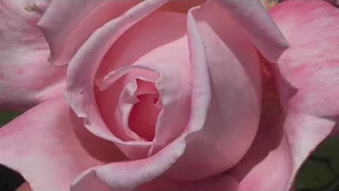 Byron Katie - Mother Julie