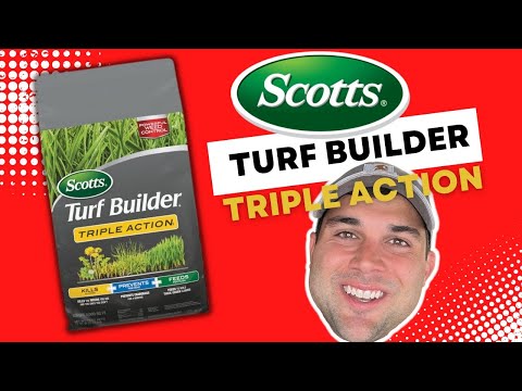 Scotts Turf Builder Triple Action: Review and How-To