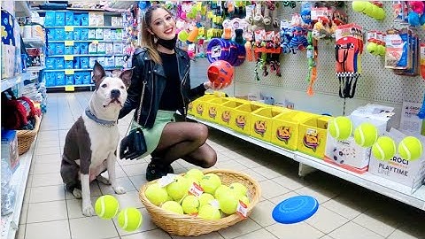 COMPRO AL MIO CANE TUTTO QUELLO CHE TOCCA - Valentina Lattanzio