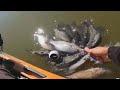 Crappie fishing,yegua creek Somerville,Texas p2