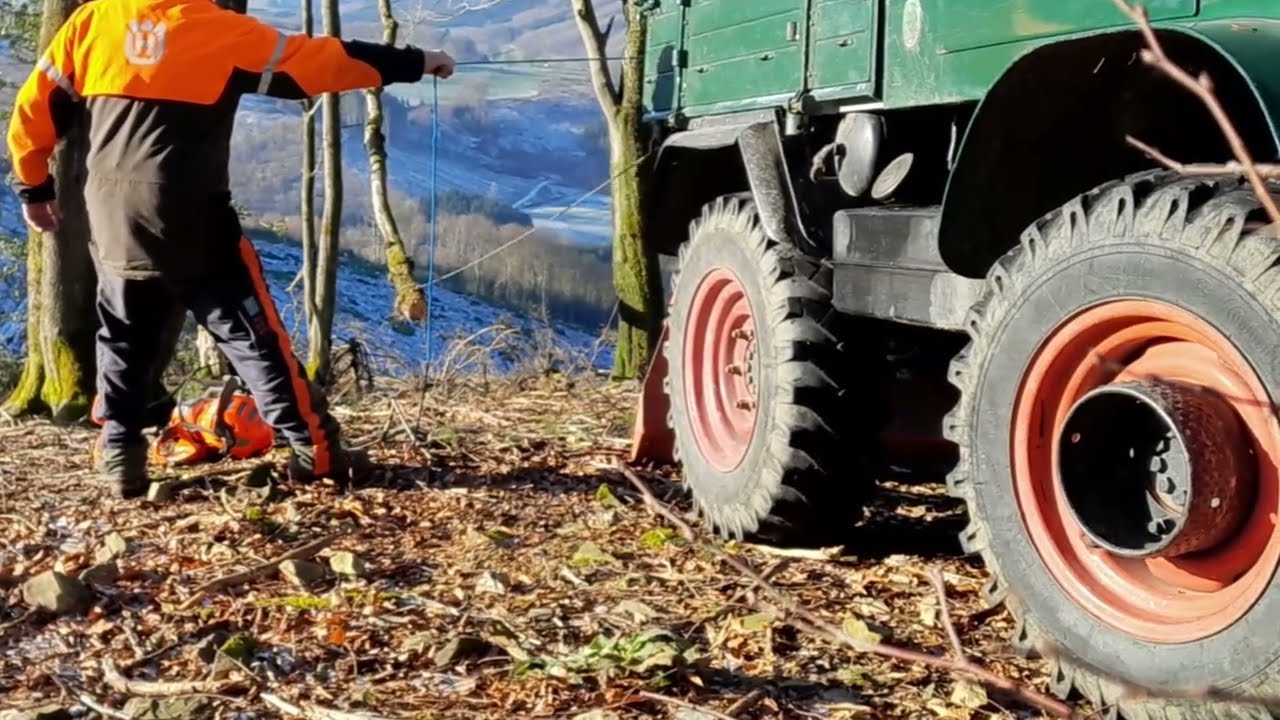 Spass im Wald... Fliegende Bäume am Unimog 411 in Kuhschisshagen