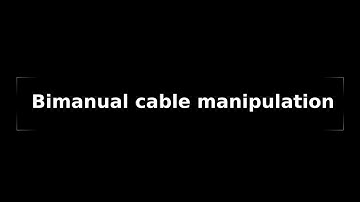 Bimanual Cable Manipulation