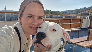 With the Camper to Sicily | The Messina Strait with the Ferry | Solo Van Life with a Dogo Argentino
