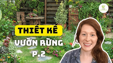 🌍 Thiết Kế Vườn Rừng Nông Nghiệp Bền Vững: Cách Làm Đơn Giản, Hiệu Quả Cao