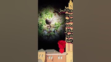 سورة النحل بصوت القارئ محمد الجلالي تلاوة ماشاءالله 💯❤️🇲🇦.                             #سورةالنحل