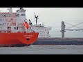 28 minutes of relaxing maritime shipping at maasvlakte 2 rotterdam  4k shipspotting 2024