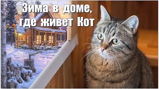 Зима в Доме, где живёт Кот :-) Зима в Доме, где живёт Кот :-)