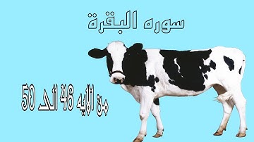 سوره البقرة | مصغرة | من الايه 46 حتى الايه 50