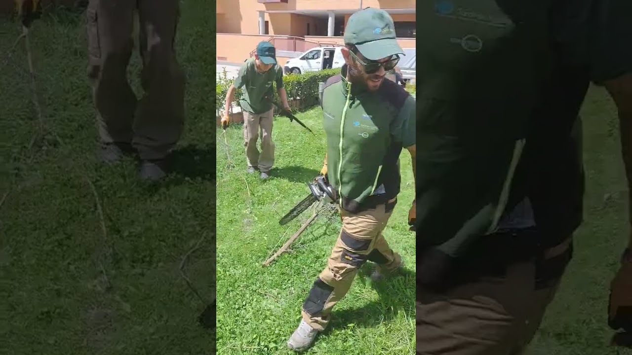 🍃👨‍🌾 Plantación Aligustre Japónico: planta tus setos👌