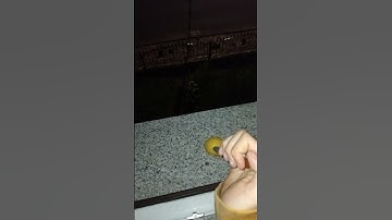 Epic Spy Backstab #teamfortress2 #tf2 #memes