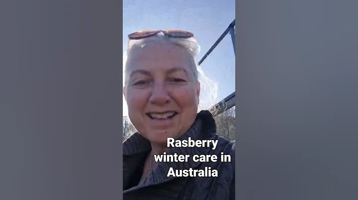 Raspberry care - Off grid & living sustainably, regenerative farming Australia