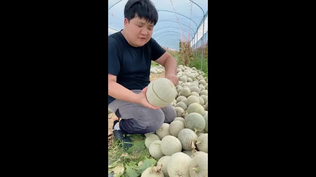 Farm Fresh Fruit | Tik Tok China 
