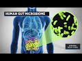 On Call with Dr. Kumar: Protecting your gut microbiome