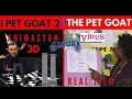 YENI BÖLÜM i PET GOAT 2 NASIL CIKTI? #illuminati #lusiferizm #masonluk #veba #corona #soros #USA