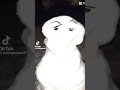 Forsaken meme Video #Chance