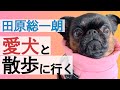 田原総一朗、愛犬の散歩へ。日常に密着【田原総一朗の生態密着シリーズ】
