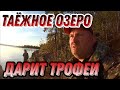 ЩУКА, КУМЖА, ХАРИУС, ОКУНЬ НА СПИННИНГ. В ТАЙГУ С НОЧЕВКОЙ. УХА НА КОСТРЕ.