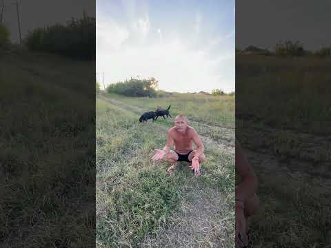 Маленькое пояснение по роликам и Ваське😍 #hunting #животные #лесной #кабан #еда #природа#gaming