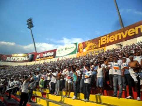 Celebracin De La Hinchada Alba En El Gol De Fito Z...